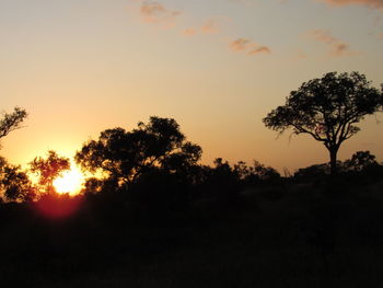 Silhouette trees on field against sky during sunset