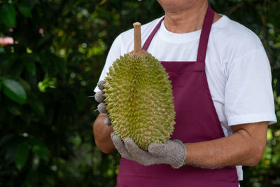 Midsection of man holding plant