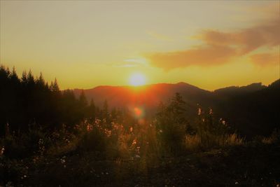 Scenic view of landscape against sky during sunset