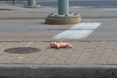 High angle view of doll lying on sidewalk
