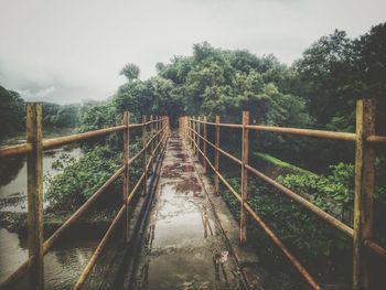 Wet footbridge by trees during monsoon