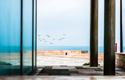 Birds flying over sea against clear sky