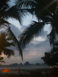 Silhouette palm trees on beach against sky during sunset