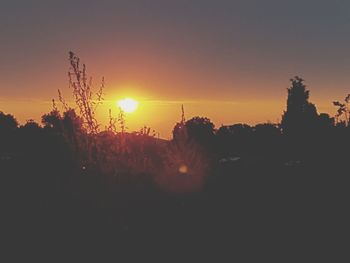 Silhouette trees against sky during sunset