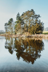 Reflection of trees in lake against sky