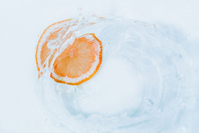 High angle view of lemon slice over white background