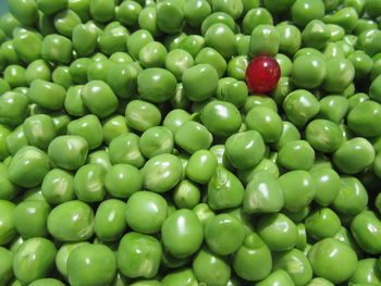 Full frame shot of green beans