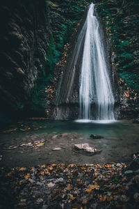 Scenic view of waterfall in forest