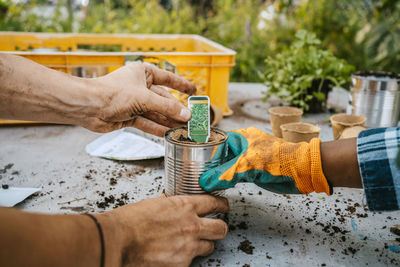 Cropped image of male and female volunteers planting at table