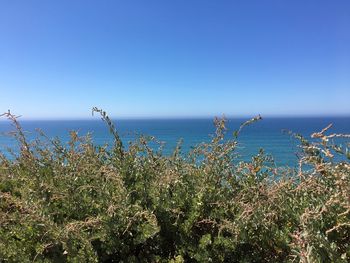 Scenic view of sea against clear blue sky