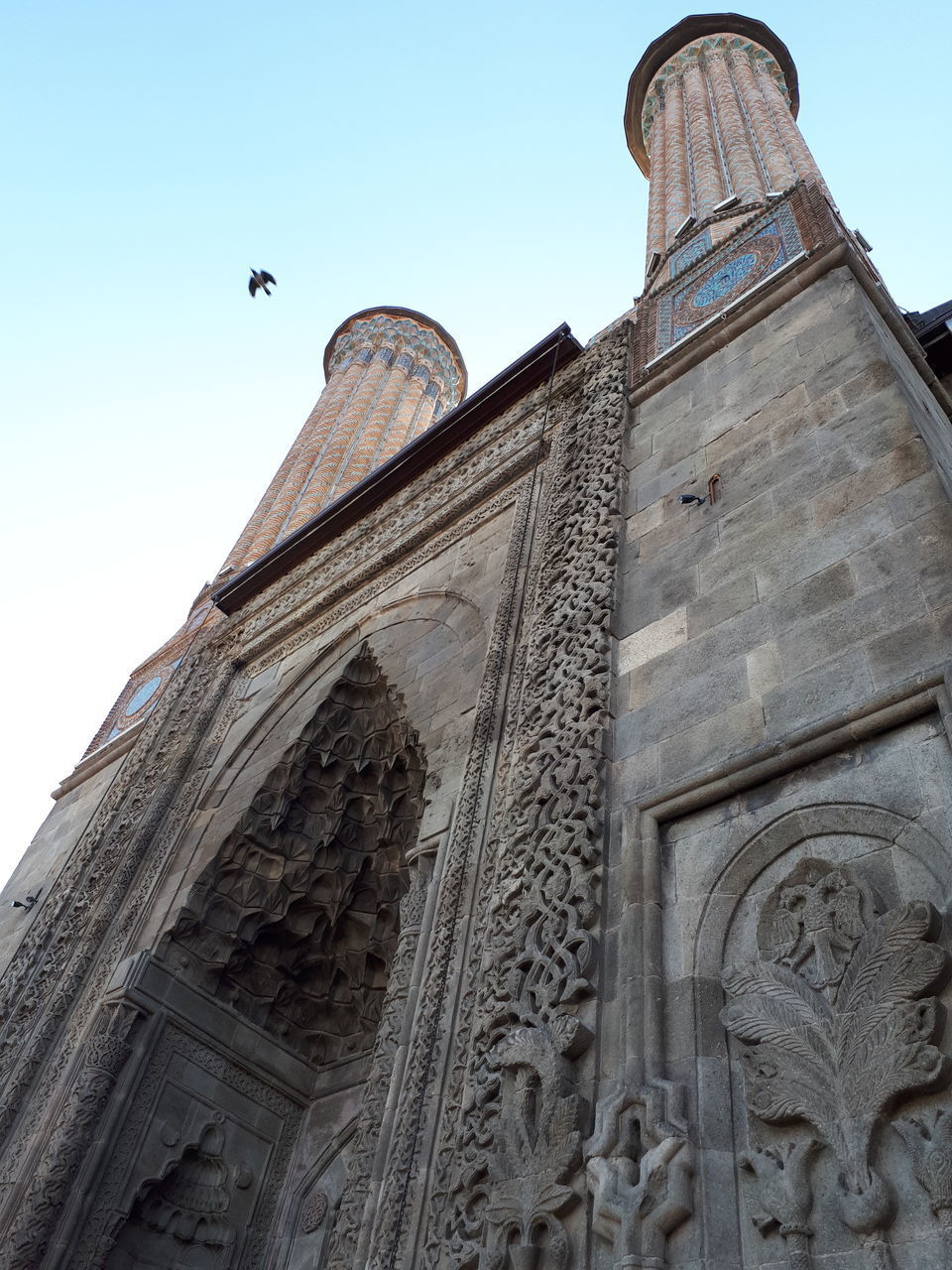 LOW ANGLE VIEW OF A BIRD FLYING