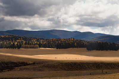 Scenic view of landscape against sky