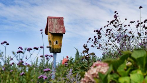 Low angle view of bird house in country flower garden