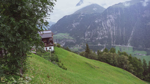 Trees and houses on field by mountains
