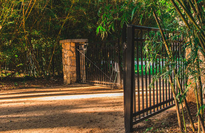 View of gate in forest