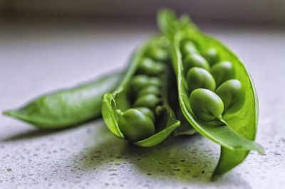 Close-up of green leaves