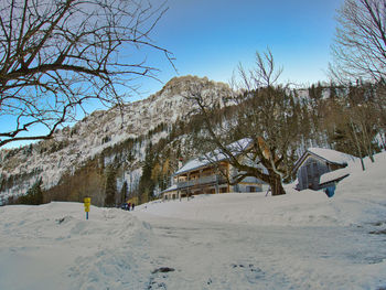 Scenic view of snow covered trees and houses against sky