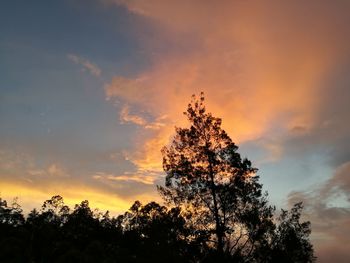 Low angle view of silhouette tree against sky during sunset