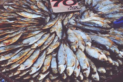 Close-up of fish for sale in market