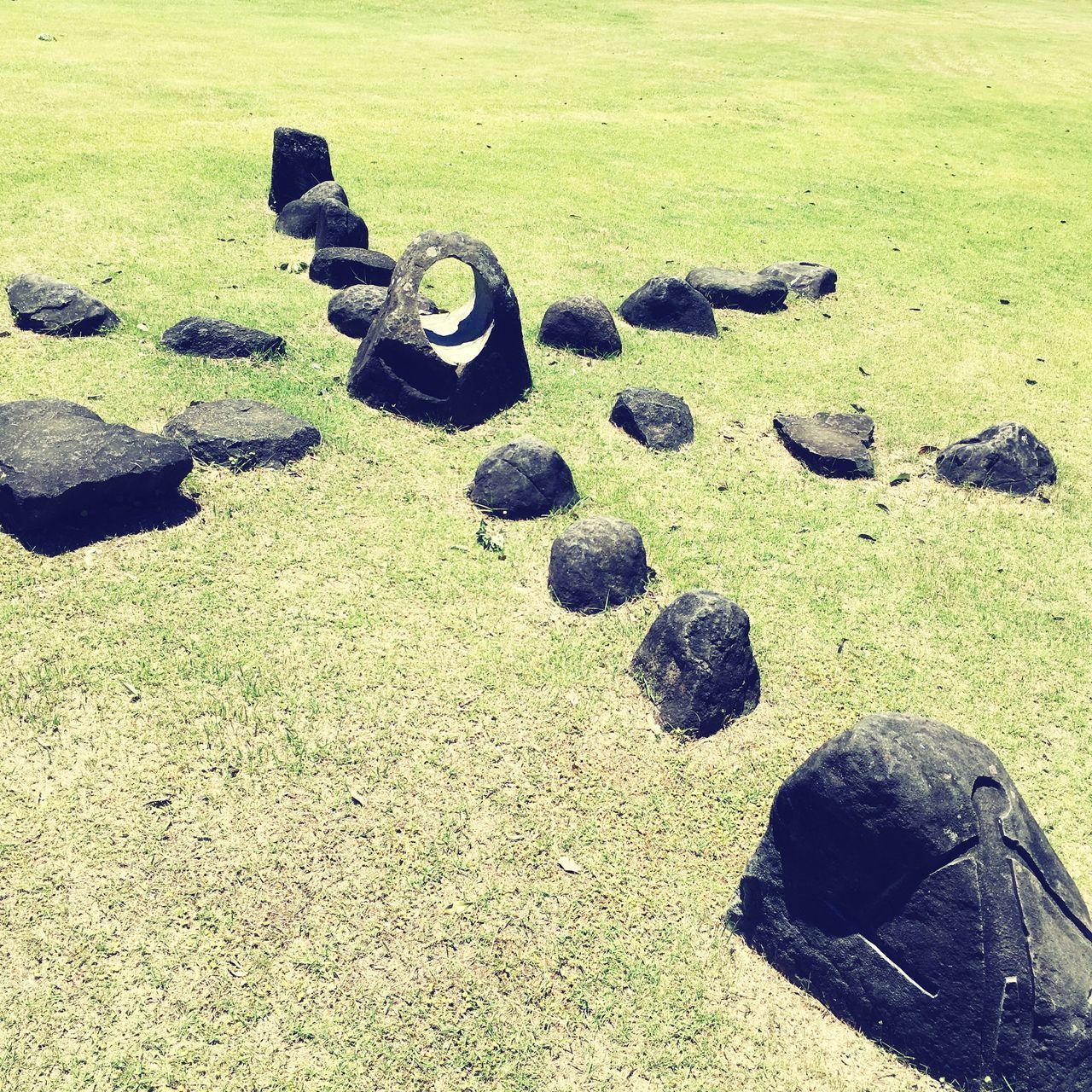 HIGH ANGLE VIEW OF STONES ON GRASS