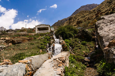 Plants growing by rocks against sky
