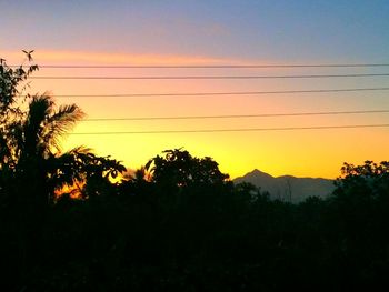 Silhouette of trees at sunset