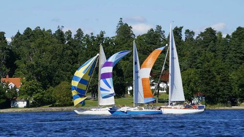 Sailboats in sea