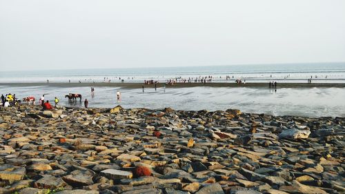 Scenic view of sea against clear sky