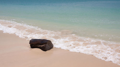 Scenic view of sea waves