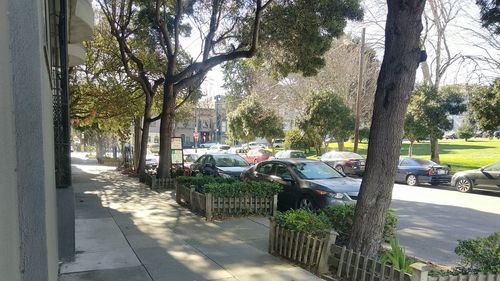 Cars on street in city