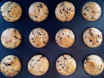 High angle view of muffins in baking tray