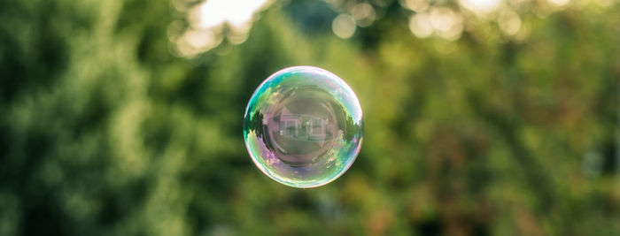 Close-up of bubble