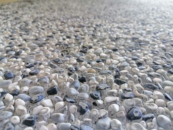 Full frame shot of pebbles on beach