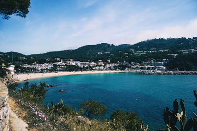 Seascape with views of a small rocky cove surrounded by a grove on a sunny day