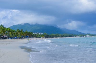 Scenic view of beach