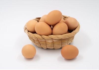 egg