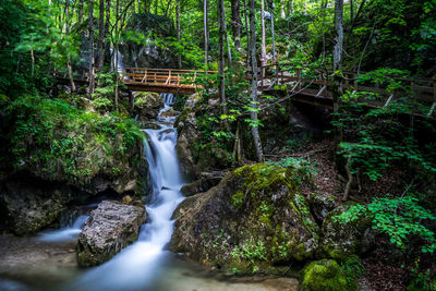 View of waterfall in forest