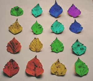 High angle view of colorful umbrellas on table