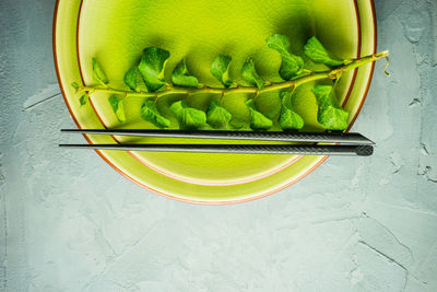 High angle view of green fruit on table