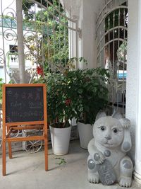 Potted plants on table outside building