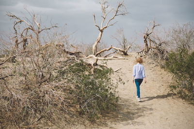 Rear view of man walking on bare tree