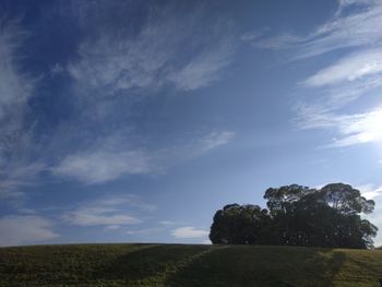 Trees on field against sky