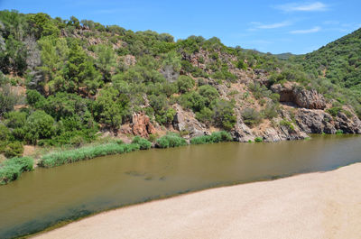 Scenic view of river amidst trees against sky