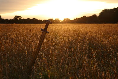 Scenic view of field with a sword against sky during sunset
