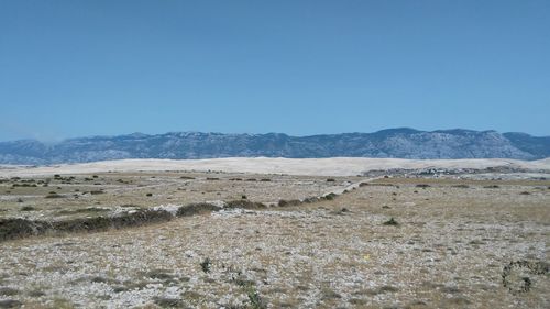 Scenic view of landscape against clear sky