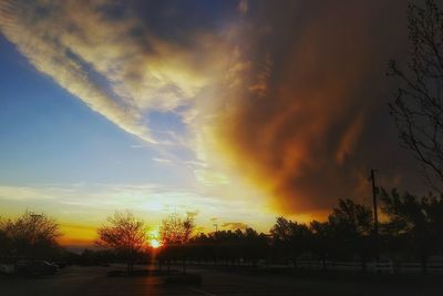 Low angle view of silhouette trees against sky during sunset