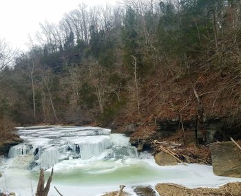 Scenic view of waterfall in forest against sky