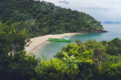 Scenic view of sea and trees against sky