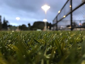 Illuminated field against sky at night