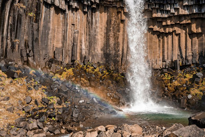Powerful cascades of svartifoss amidst basalt columns formation in national park